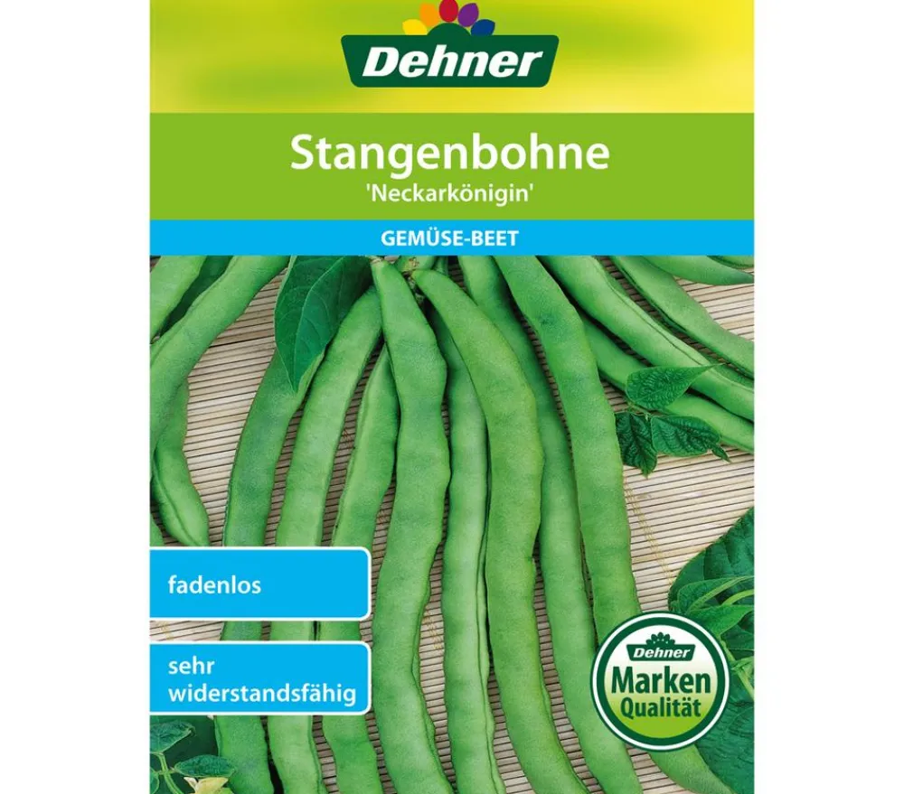 Dehner Gemüsesamen - Samen Stangenbohne 'Neckarkönigin'