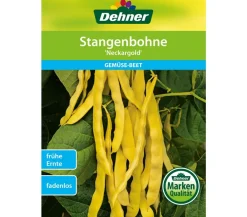 Dehner Gemüsesamen > Samen Stangenbohnen 'Neckargold'