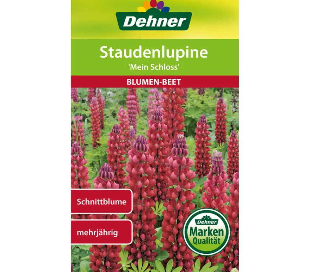 Dehner Blumensamen - Samen Staudenlupine 'Mein Schloss' Rot