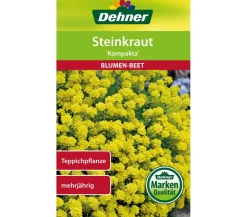 Dehner Blumensamen - Samen Steinkraut 'Kompakta' Gelb