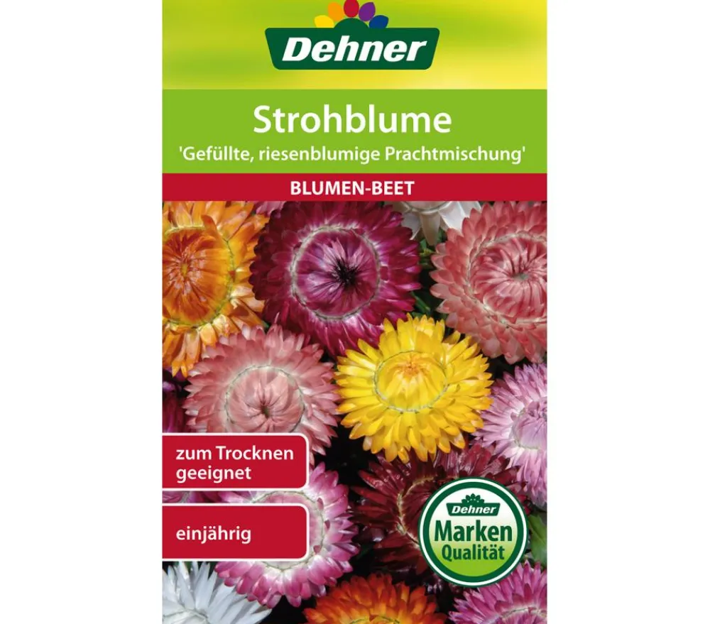 Dehner Samen Strohblume 'Gefüllte, riesenblumige Prachtmischung' Bunt Outlet