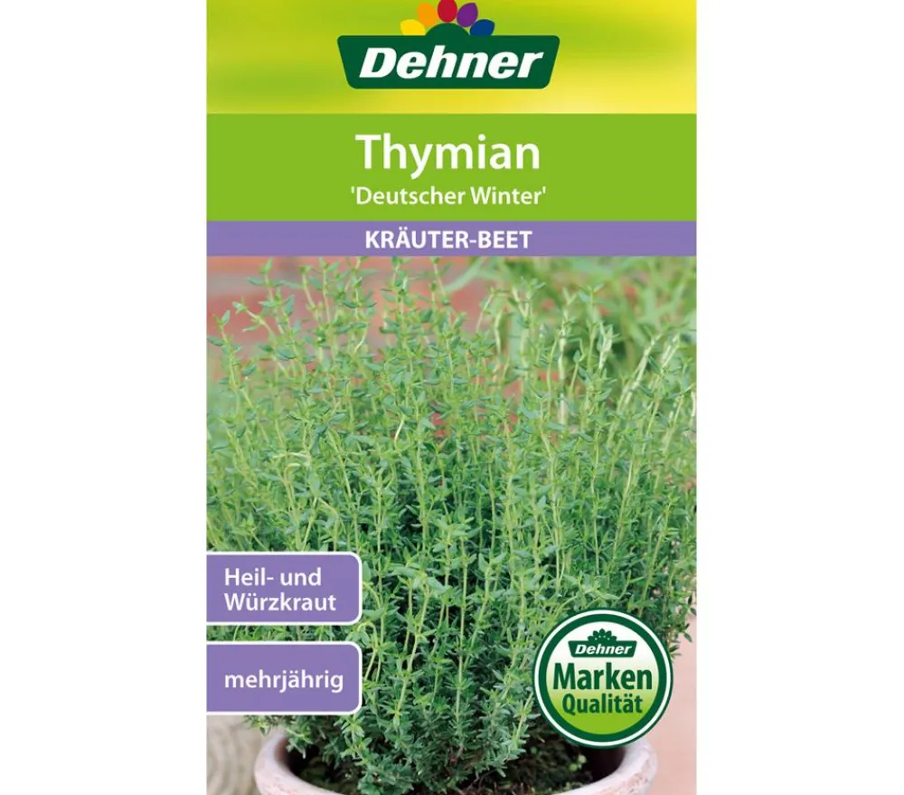 Dehner Kräutersamen > Samen Thymian 'Deutscher Winter'