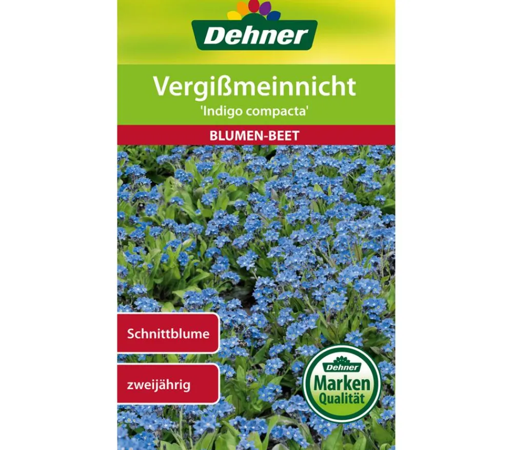 Dehner Blumensamen > Samen Vergißmeinnicht 'Indigo compacta'