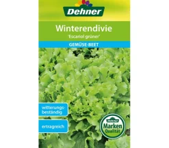 Gemüsesamen > Dehner Samen Winterendivie 'Escariol grüner'