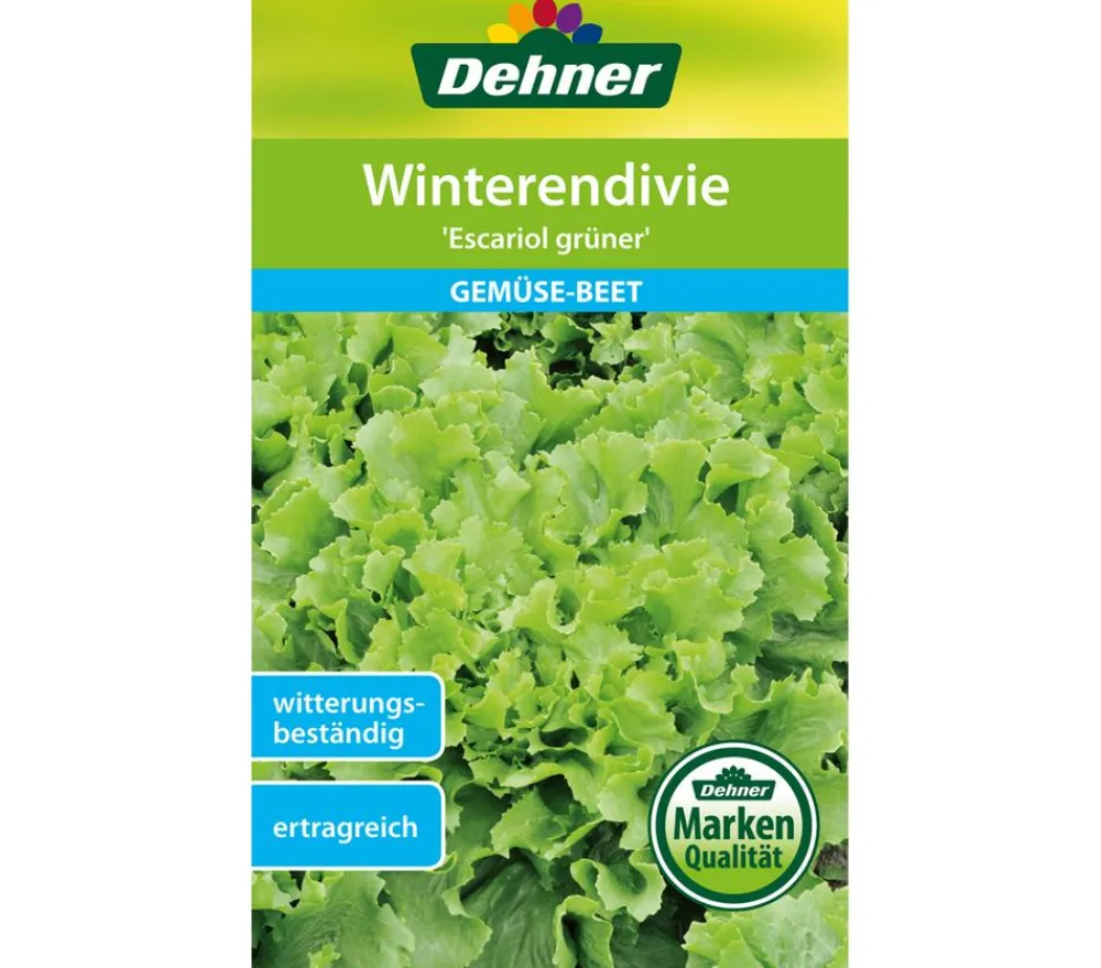 Gemüsesamen > Dehner Samen Winterendivie 'Escariol grüner'