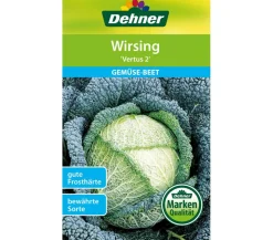 Dehner Gemüsesamen - Samen Wirsing 'Vertus 2'