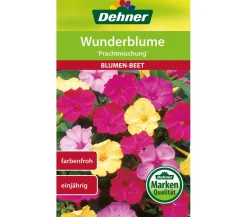 Dehner Blumensamen > Samen Wunderblume 'Prachtmischung'
