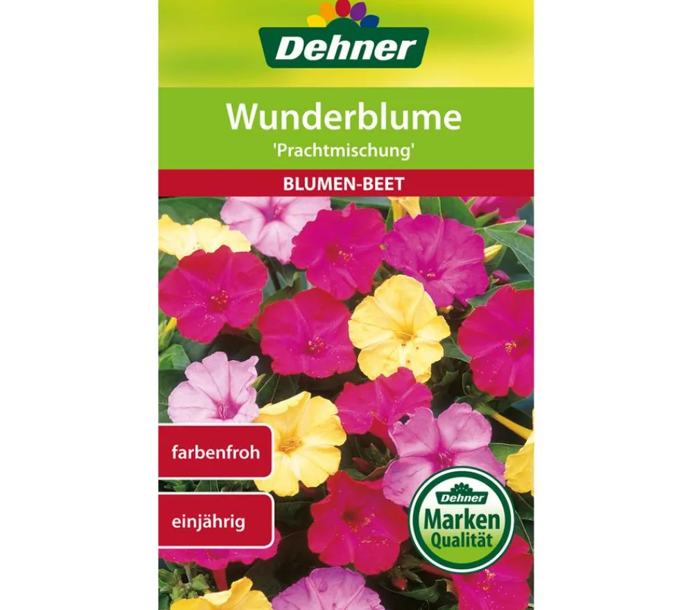 Dehner Blumensamen > Samen Wunderblume 'Prachtmischung'