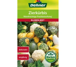 Dehner Blumensamen - Samen Zierkürbis 'Kleinfrüchtige Prachtmischung'