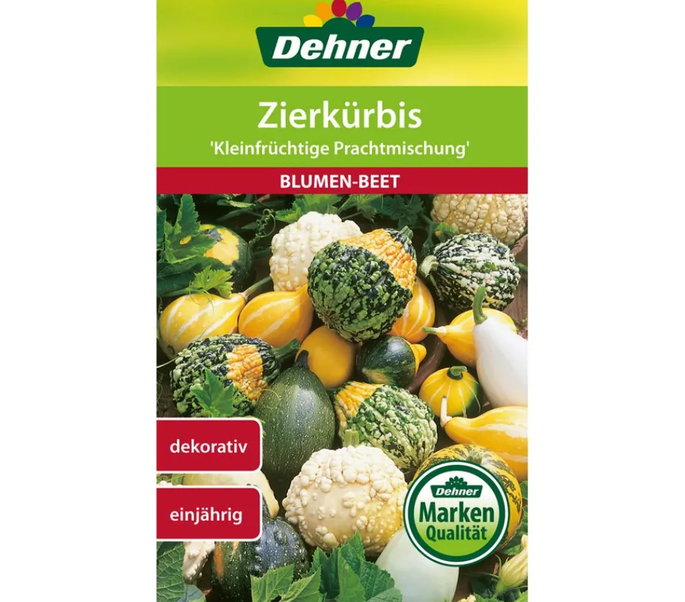 Dehner Blumensamen - Samen Zierkürbis 'Kleinfrüchtige Prachtmischung'
