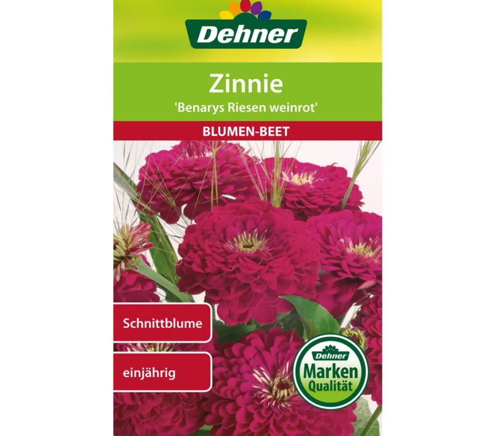 Dehner Blumensamen > Samen Zinnie 'Benarys Riesen wein'