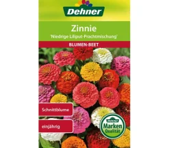 Dehner Blumensamen - Samen Zinnie 'Niedrige Liliput Prachtmischung' Bunt