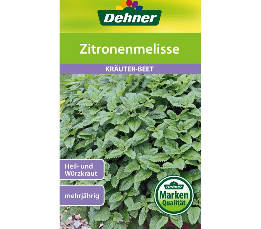 Dehner Kräutersamen - Samen Zitronenmelisse