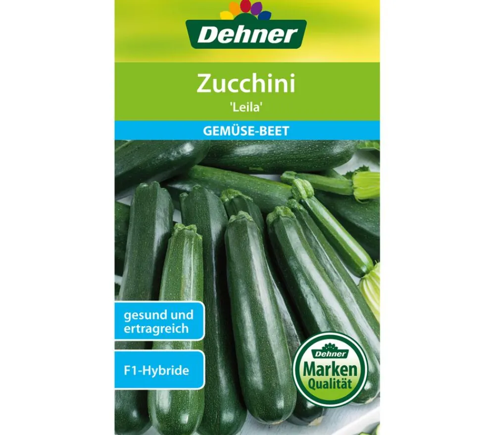 Dehner Samen Zucchini 'Leila' Hot