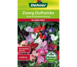Dehner Blumensamen > Samen Zwerg-Duftwicke 'Knee-Hi Sondermischung'