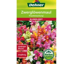 Dehner Blumensamen > Samen Zwerglöwenmaul 'Prachtmischung'