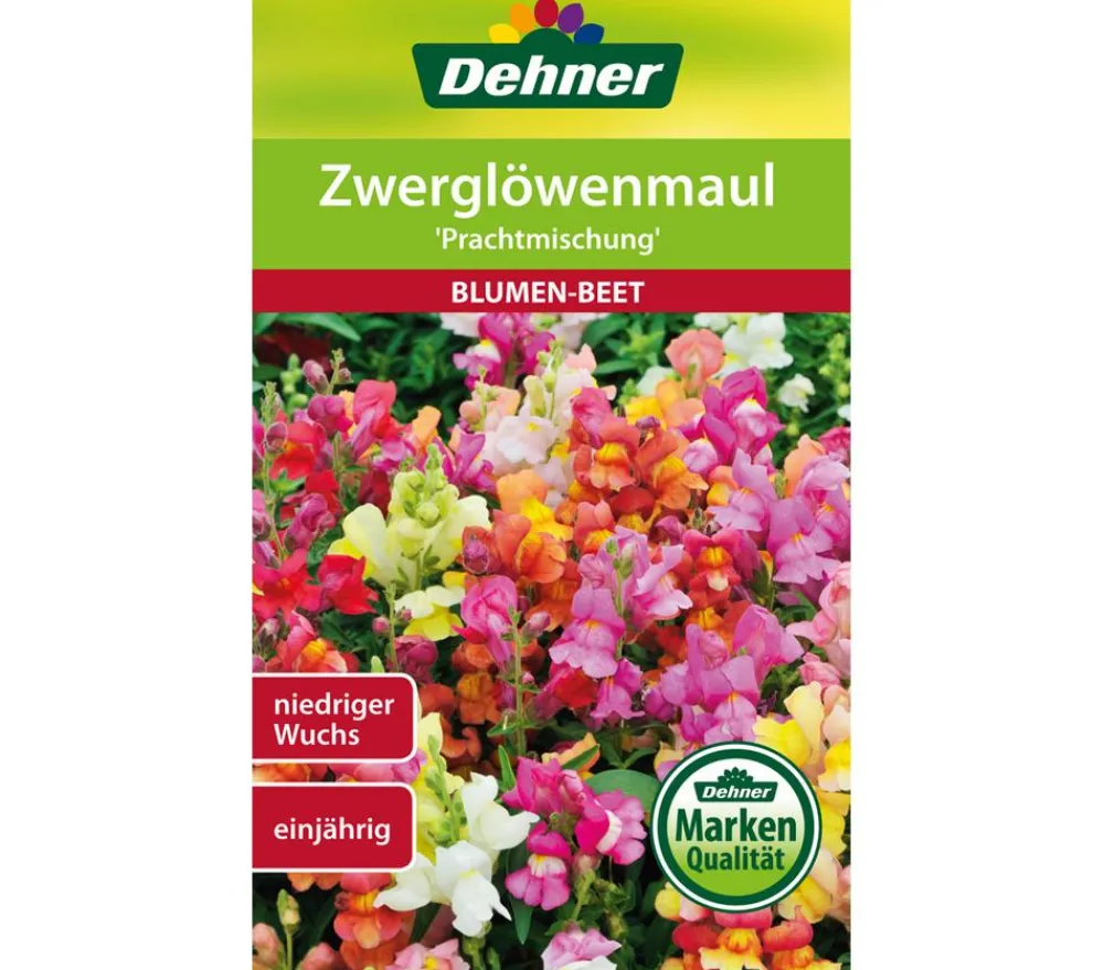 Dehner Blumensamen > Samen Zwerglöwenmaul 'Prachtmischung'