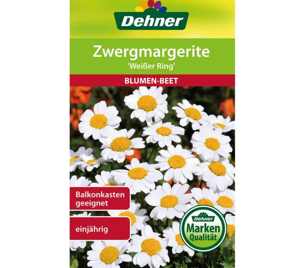 Dehner Blumensamen > Samen Zwergmargerite 'er Ring'