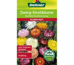 Dehner Samen Zwerg-Strohblume 'Herrliche Prachtmischung' Bunt Online