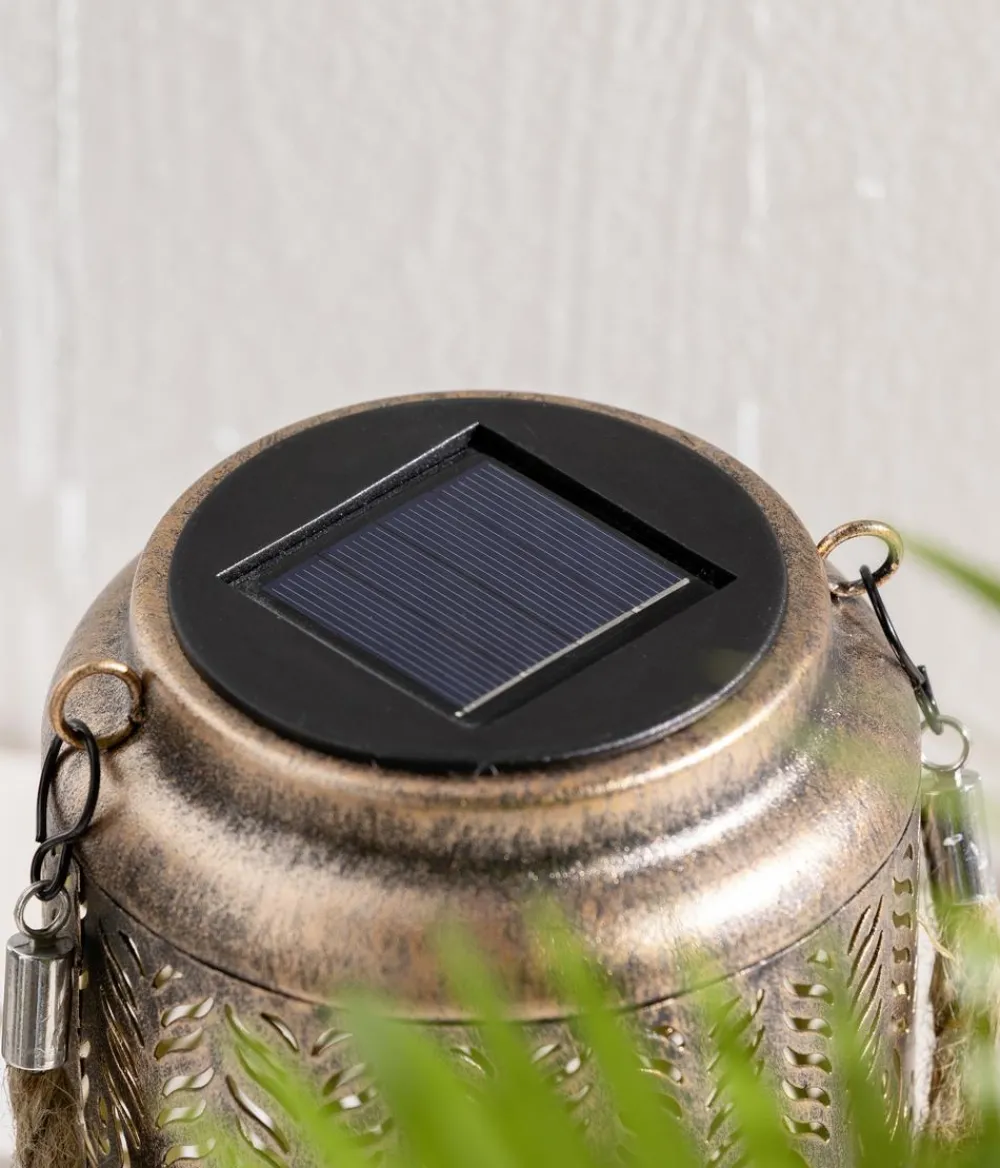 Dehner Solarleuchten|Laternen & Dekoleuchten > Solar-Laterne Chiara