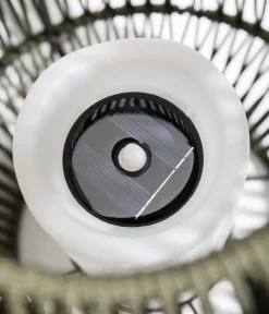 Dehner Solar-Laterne Ella Online