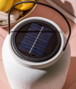 Dehner Solar-Laterne Elsa Discount
