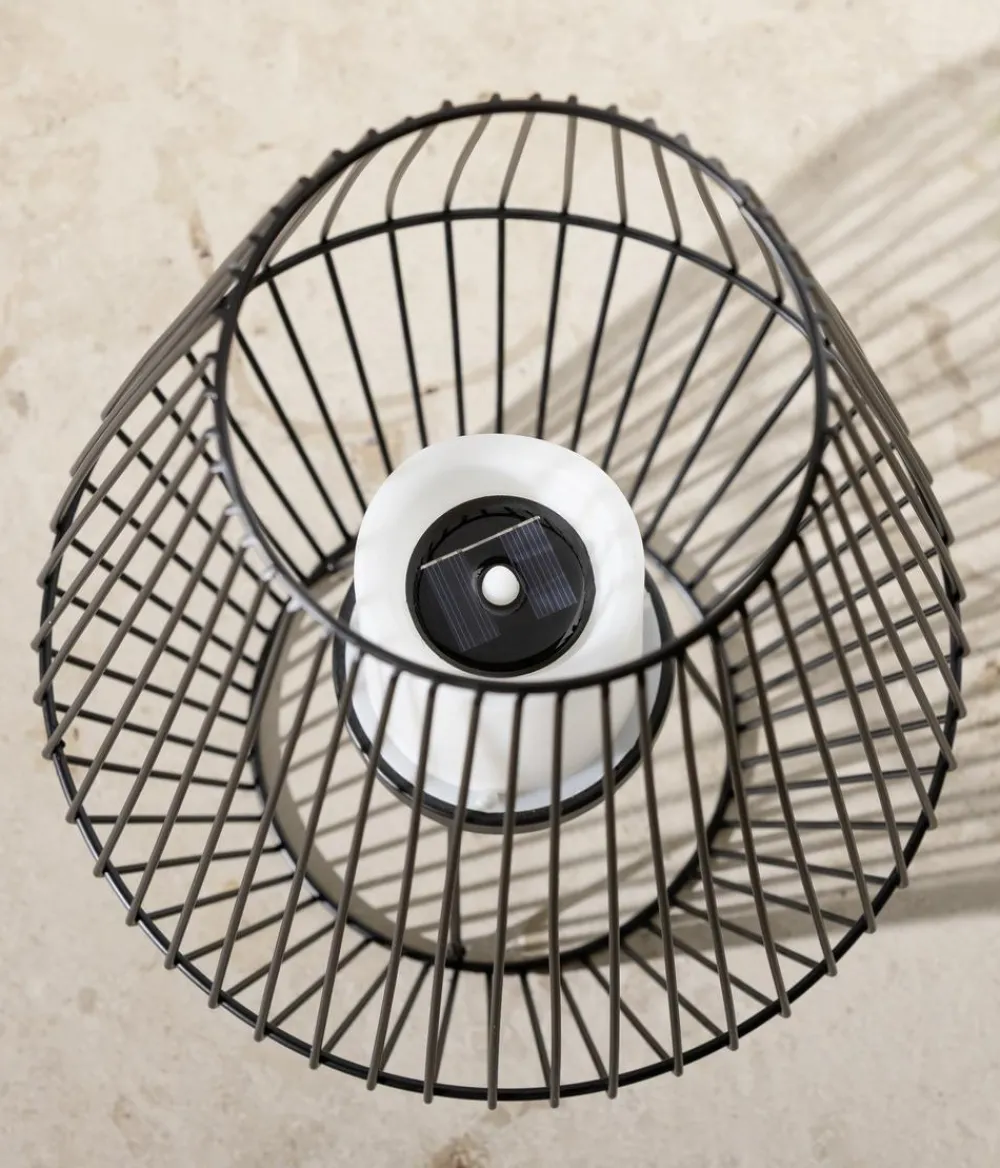 Dehner Solar-Laterne Vilaflor Sale