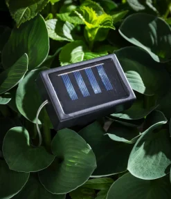 Dehner Solar-Lichterkette Lampion Discount