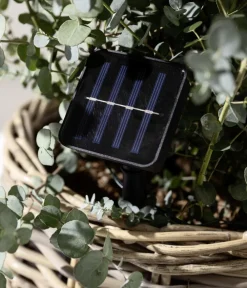 Dehner Solarleuchten|Laternen & Dekoleuchten - Solar-Lichterkette Lucena