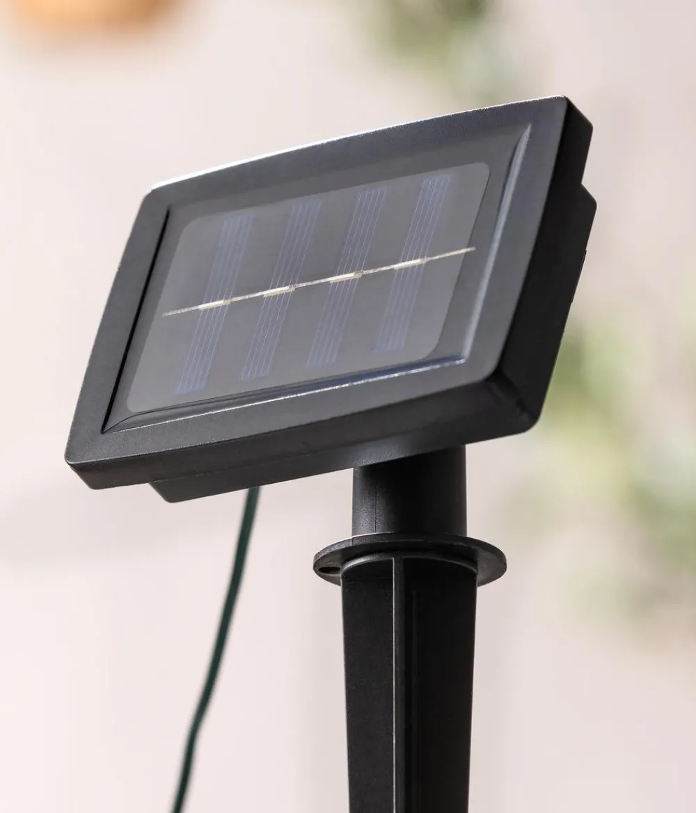 Dehner Solar-Lichterkette Mila Online