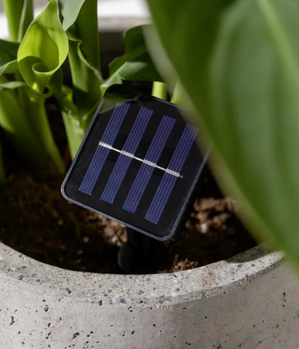 Dehner Solarleuchten|Laternen & Dekoleuchten > Solar-Lichterkette Ronda