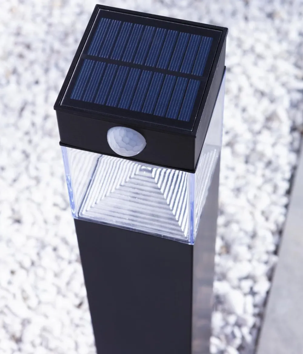Dehner Solar-Wegleuchte Goran, ca. B8/H50/T8 cm Sale