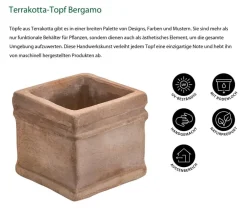 Dehner Blumentöpfe & Übertöpfe - -Topf Bergamo, quadratisch Terrakotta