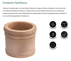 Dehner Blumentöpfe & Übertöpfe - -Topf Brescia, rund Terrakotta