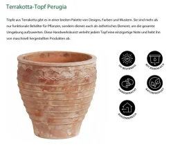 Dehner -Topf Perugia, rund, antik- Terrakotta