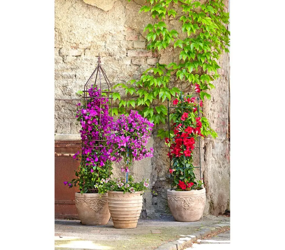 Dehner Blumentöpfe & Übertöpfe > -Topf Perugia, rund, antik-