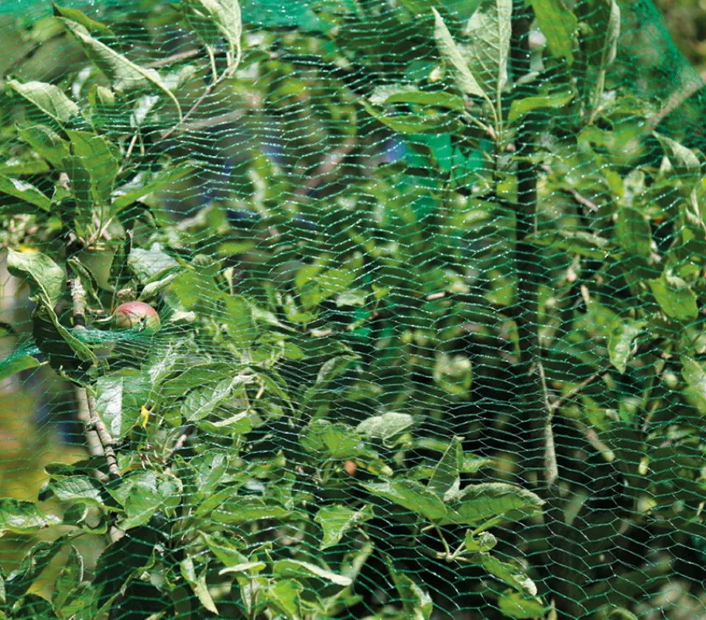 Dehner Pflanzenfolien & Ernteschutz - Vogelschutz-Netz, 5 x 4 m Grün