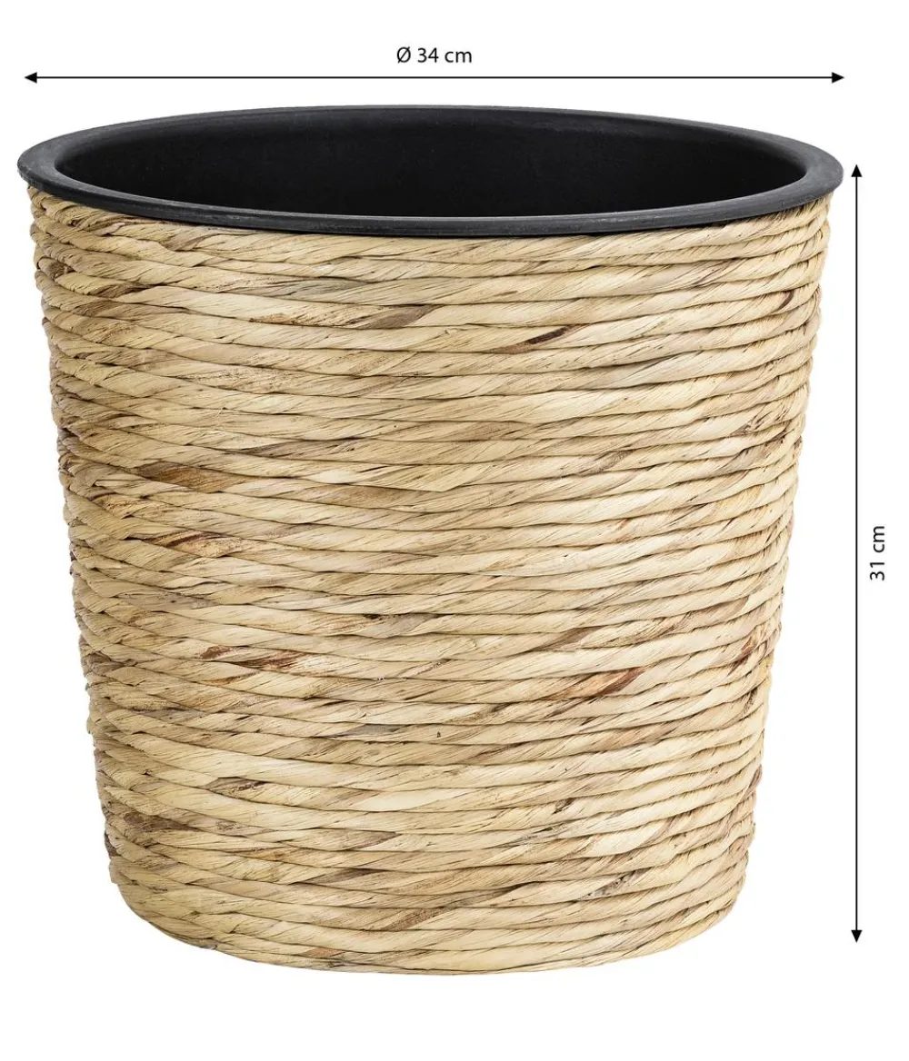 Dehner Wasserhyazinthen-Topf, konisch, Natur Discount