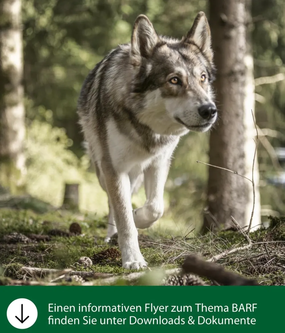 Dehner Wild Nature Nahrungsergänzung Hund > BARF-Ergänzungsfutter für Hunde Flocken-Mix Pastinake-Kürbis