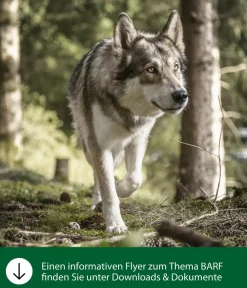 Dehner Wild Nature BARF-Ergänzungsfutter für Hunde Reisflocken Clearance