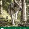 Dehner Wild Nature Nahrungsergänzung Hund > BARF-Ergänzungsfutter für Hunde Grünlippmuschel
