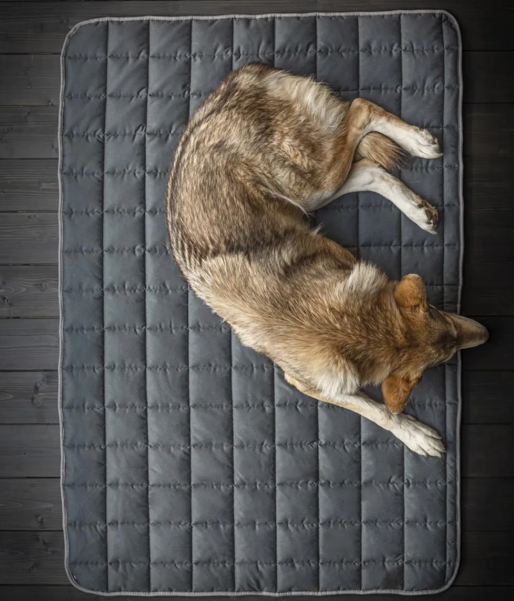 Dehner Wild Nature Hundedecke Banket, rechteckig Dunkelgrau Clearance