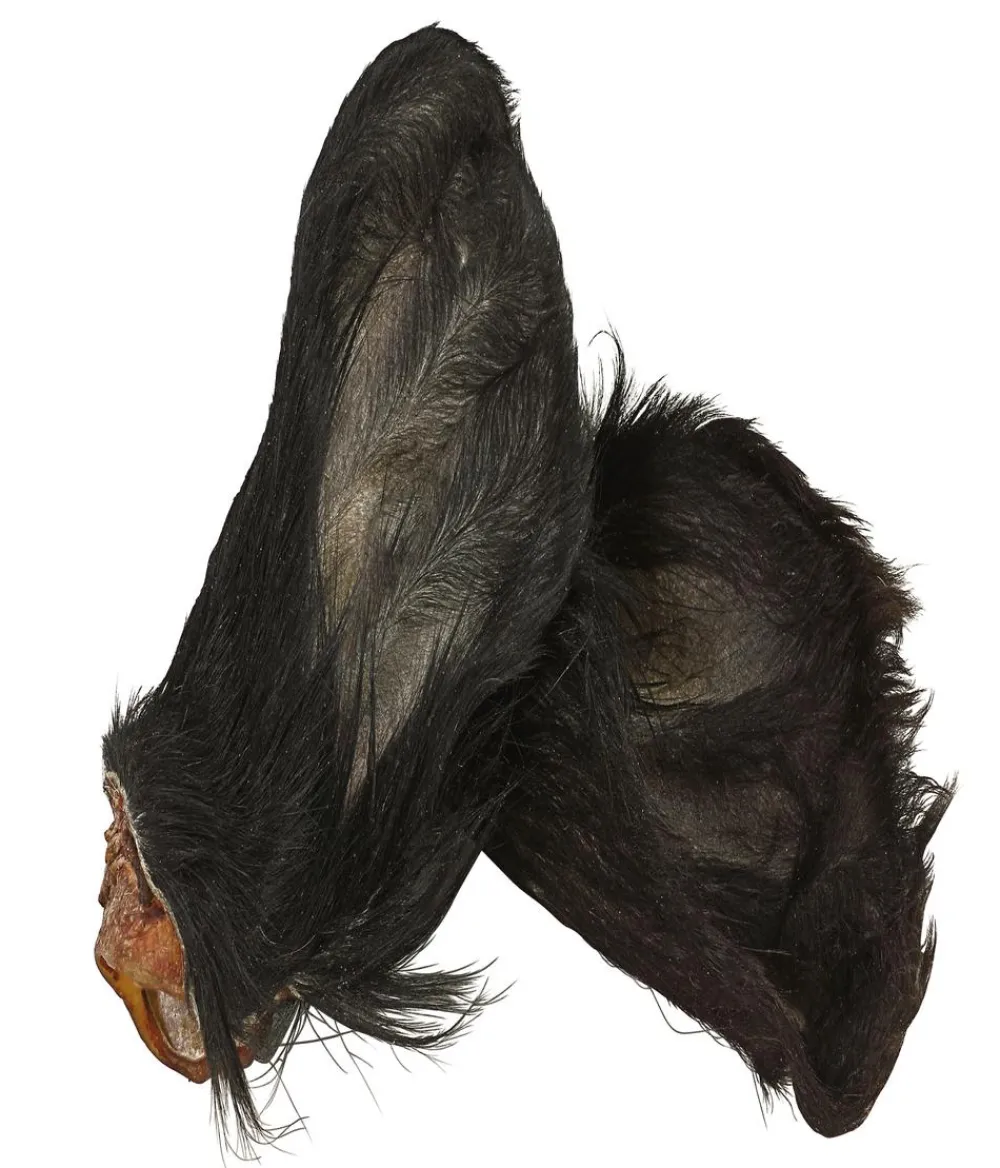 Dehner Wild Nature Hundeleckerlies > Hundesnack Kalbsohren mit Fell