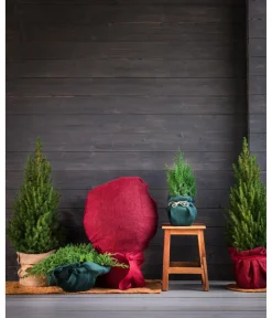 Dehner Pflanzenfolien & Ernteschutz|Mehr Blumentopfzubehör - Winterschutz Jute-Dekoband, ca. L300/B6 cm Dunkelgrün