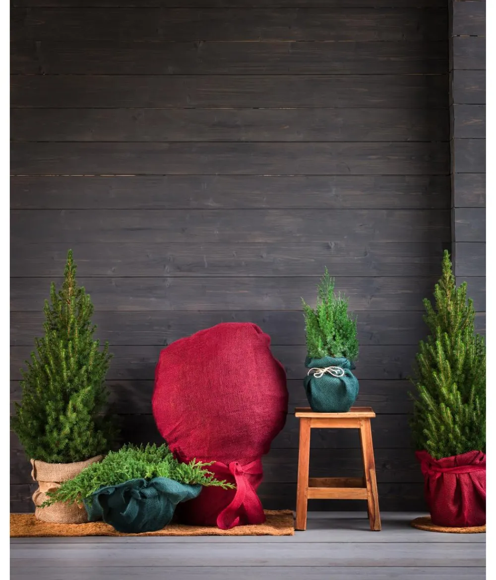 Dehner Pflanzenfolien & Ernteschutz|Mehr Blumentopfzubehör - Winterschutz Jute-Dekoband, ca. L300/B6 cm Dunkelgrün