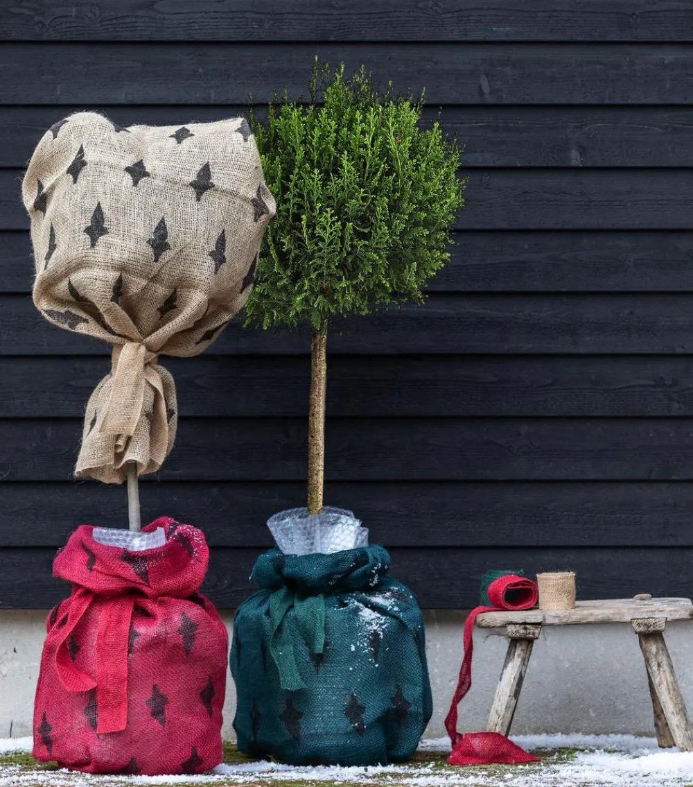 Dehner Pflanzenfolien & Ernteschutz|Mehr Blumentopfzubehör - Winterschutz Jute-Dekoband, ca. L300/B6 cm Dunkelgrün