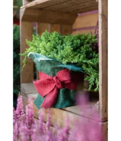 Dehner Pflanzenfolien & Ernteschutz|Mehr Blumentopfzubehör - Winterschutz Jute-Dekoband, ca. L300/B6 cm Rot