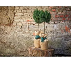 Dehner Pflanzenfolien & Ernteschutz|Mehr Blumentopfzubehör > Winterschutz-Jutegewebe, ca. L300/B105 cm