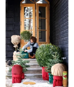 Dehner Pflanzenfolien & Ernteschutz|Mehr Blumentopfzubehör - Winterschutz Kokos-Matte, ca. B150/H50 cm Hellbraun