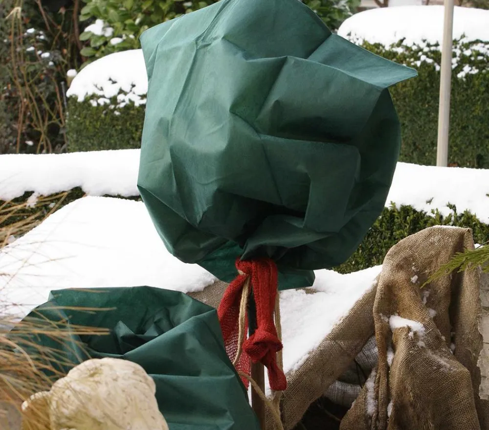 Dehner Pflanzenfolien & Ernteschutz|Mehr Blumentopfzubehör - Winterschutz Rosen-Vlieshaube, 3 Stück, ca. B75/H100 cm Dunkelgrün